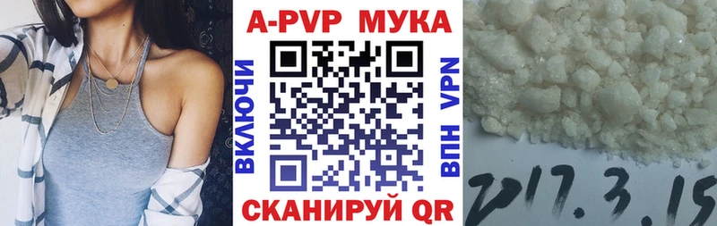 A PVP СК  Волгодонск 