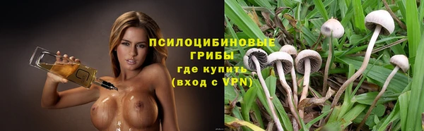 соль ск Горнозаводск