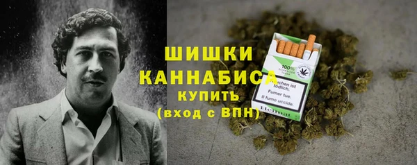 соль ск Горнозаводск