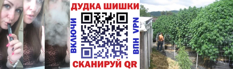 Бошки Шишки тримм  цены наркотик  Волгодонск 